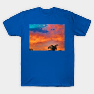 Fly high against the sky T-Shirt